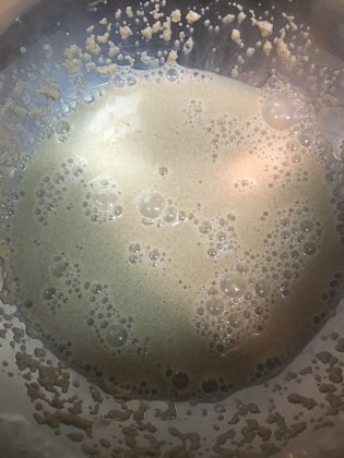 Yeast and water mixed and resting